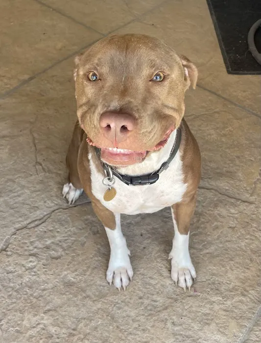 Northridge Veterinary Center 4