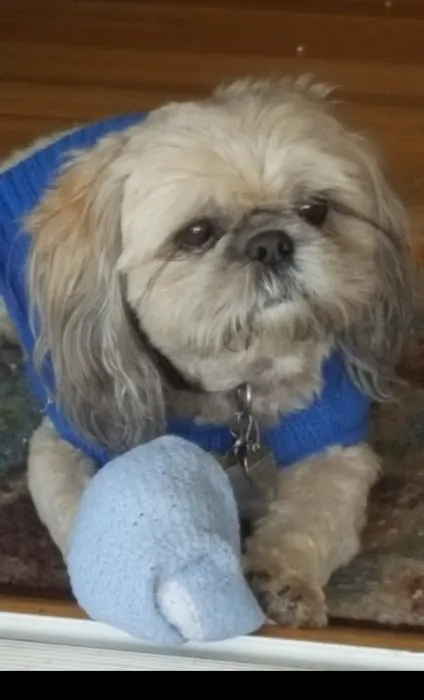Northridge Veterinary Center 9