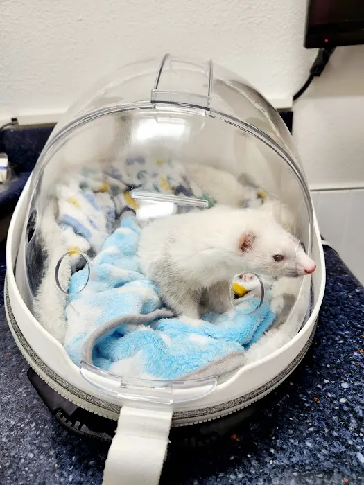 Northridge Veterinary Center 10