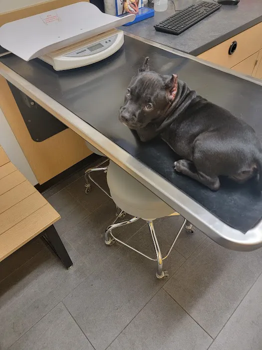 Banfield Pet Hospital 2