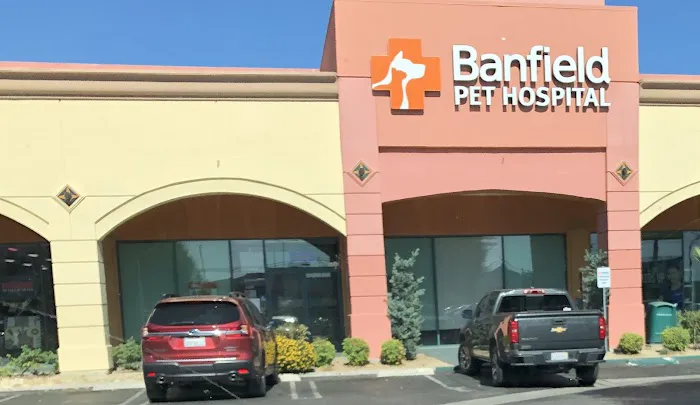Banfield Pet Hospital 9
