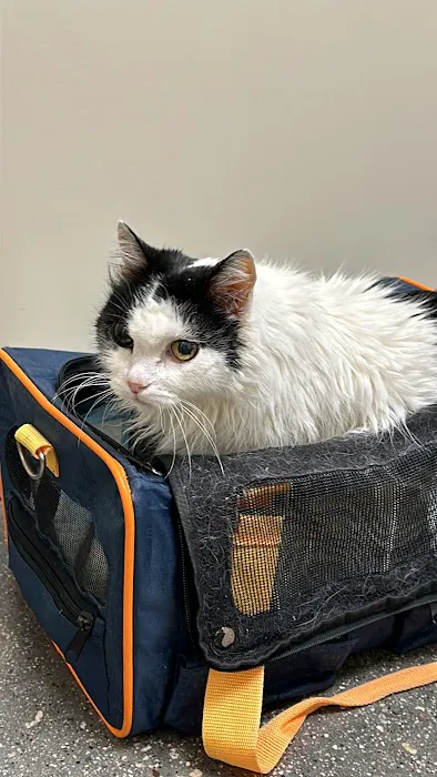 Vetco Total Care Animal Hospital 8
