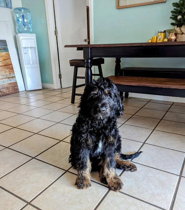 Vetco Total Care Animal Hospital 6