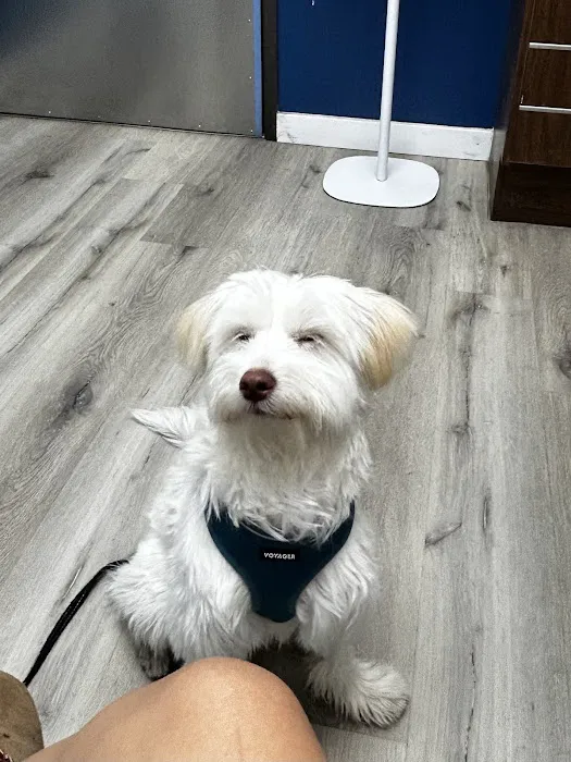 Roswinn Pet Hospital 4