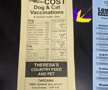 Veterinary Mobile Services