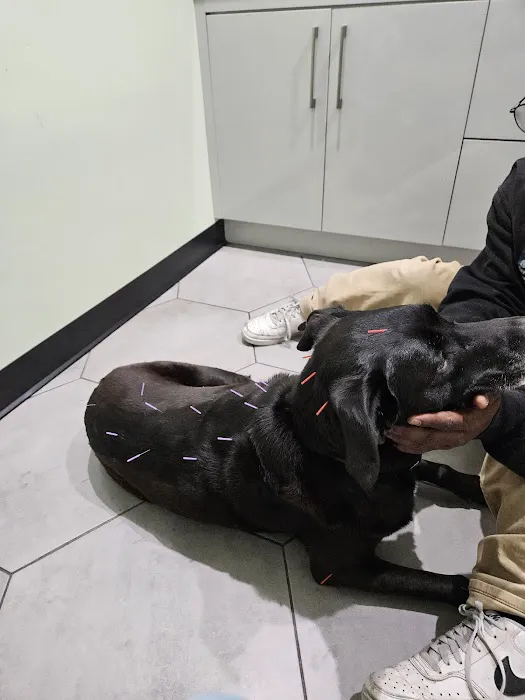Healing Touch Veterinary Wellness Center 5