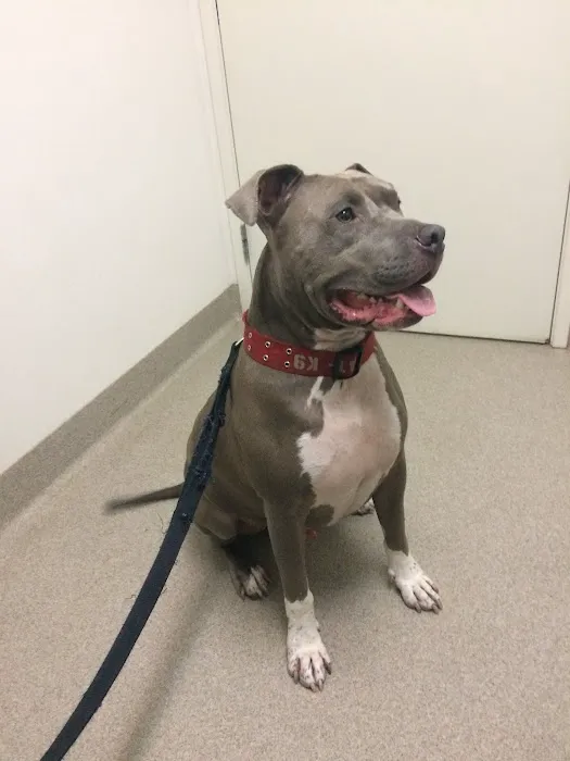Winnetka Animal Clinic 1