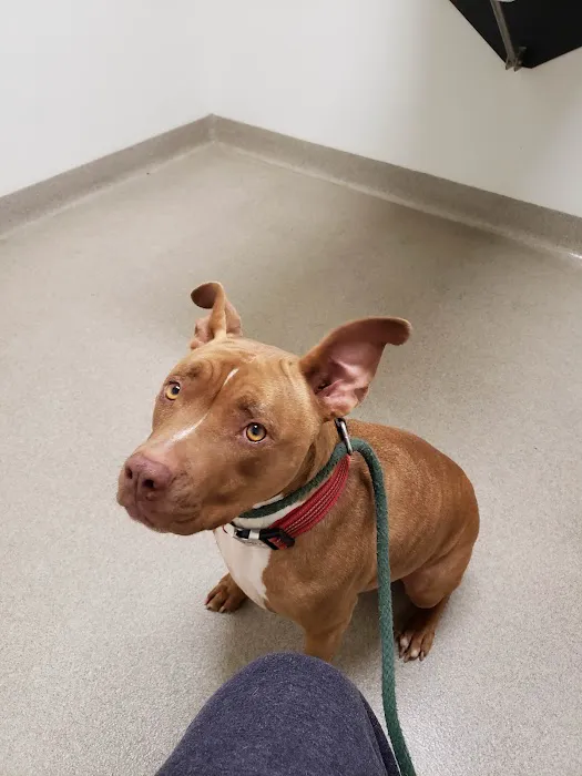 Winnetka Animal Clinic 7