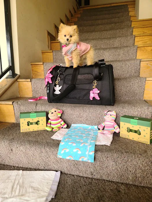Winnetka Animal Clinic 3