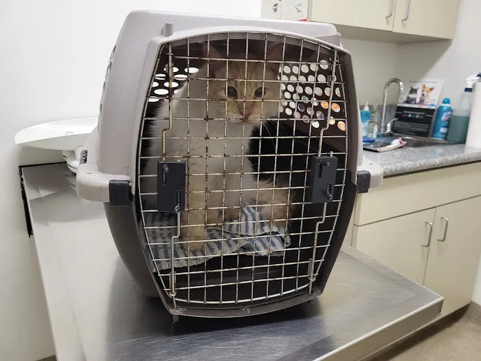 Winnetka Animal Clinic 6