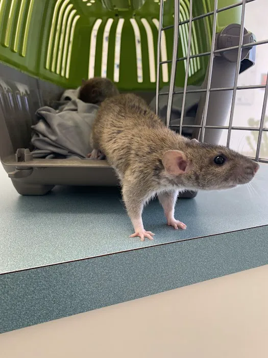 Capri Plaza Pet Clinic 1