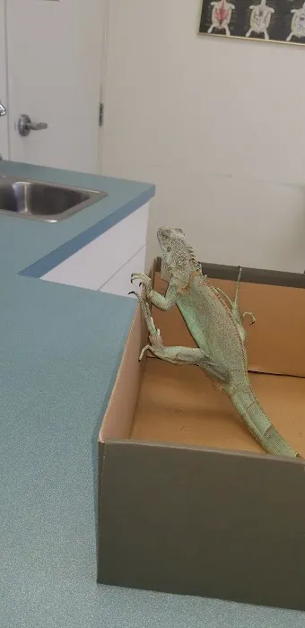 Capri Plaza Pet Clinic 10