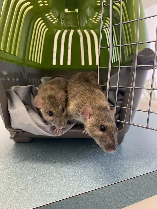 Capri Plaza Pet Clinic 2