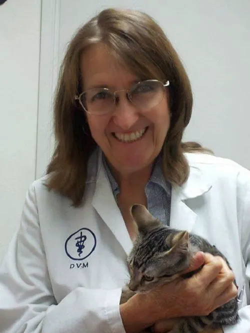 Cat's Meow Veterinary Clinic 1