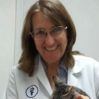 Cat's Meow Veterinary Clinic ico