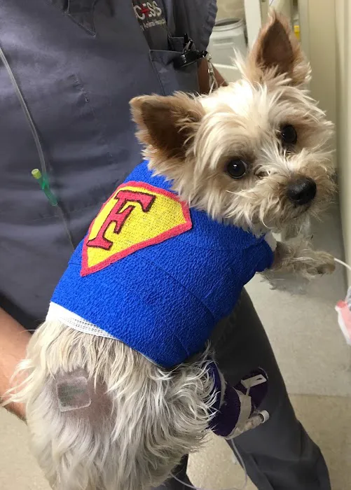 ACCESS Specialty Animal Hospitals - San Fernando Valley 4