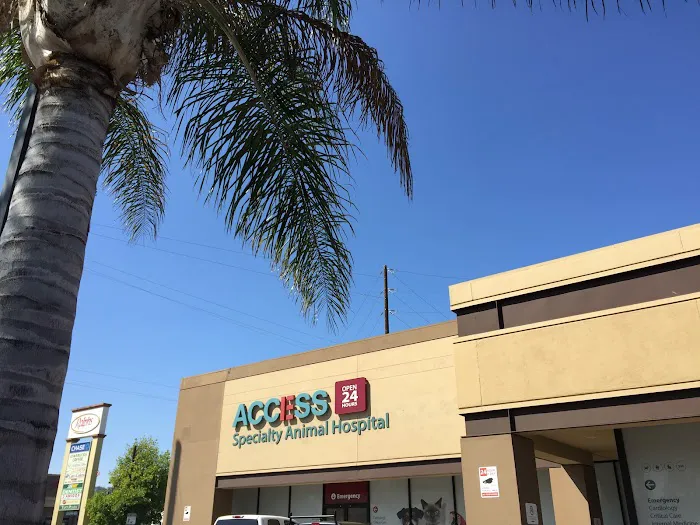 ACCESS Specialty Animal Hospitals - San Fernando Valley 6