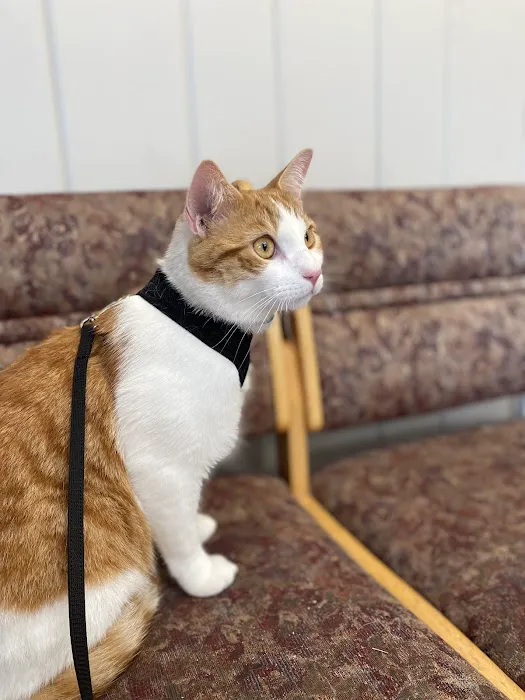 North Fork Animal Hospital 5