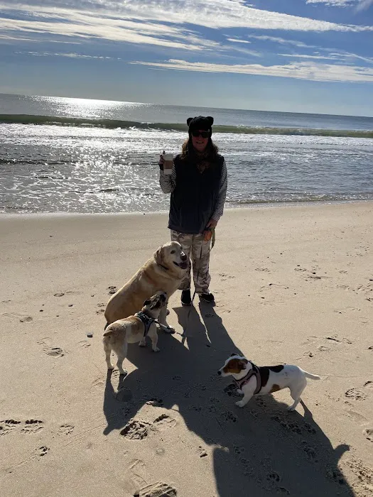 Sandy Paws Veterinary Clinic - Dr Molly Miosek 5