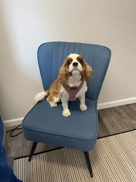 Sandy Paws Veterinary Clinic - Dr Molly Miosek 9