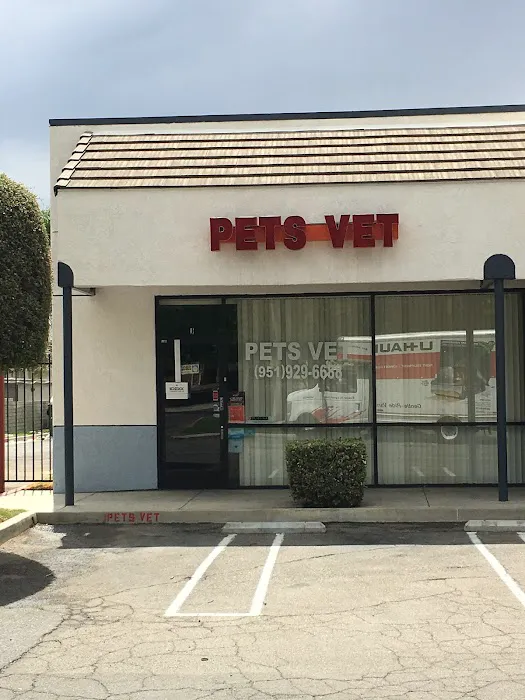 Pets Vet Veterinary Clinic 3