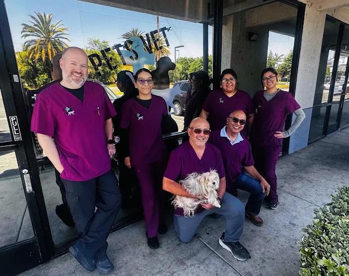 Pets Vet Veterinary Clinic 5