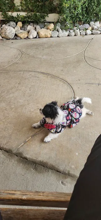 Mar Animal Hospital 3