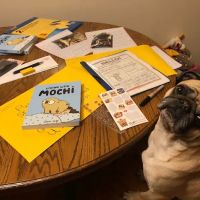 The Pug Penpal Project ico