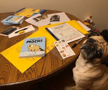 The Pug Penpal Project