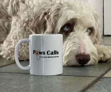 Paws Calls