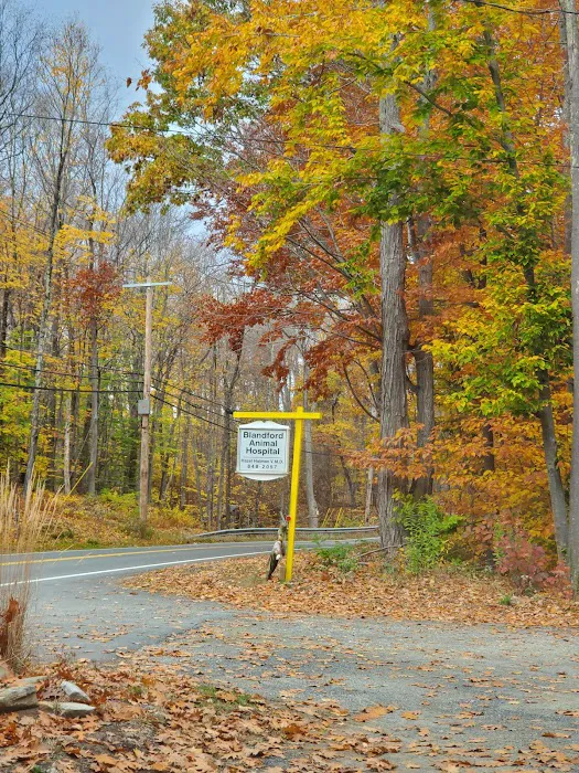 Blandford Animal Hospital 2