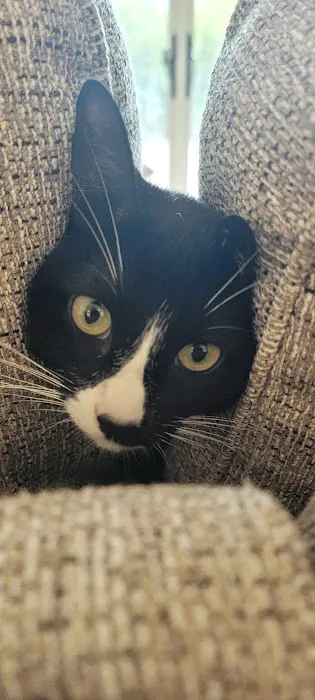 Second Chance Community Veterinary Hospital 9