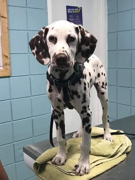 Second Chance Community Veterinary Hospital 5