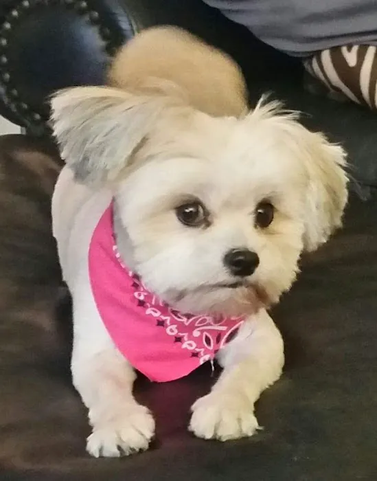 Second Chance Community Veterinary Hospital 3