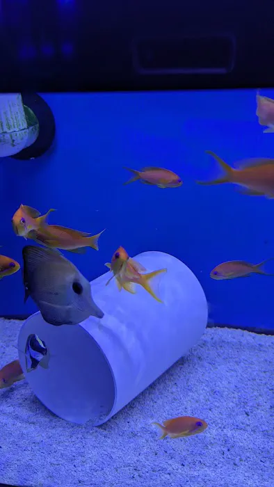 Premier Aquatics 1