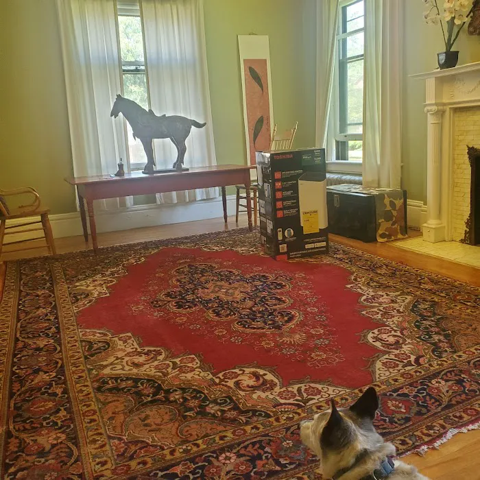 Sanctuary Animal Clinic 2