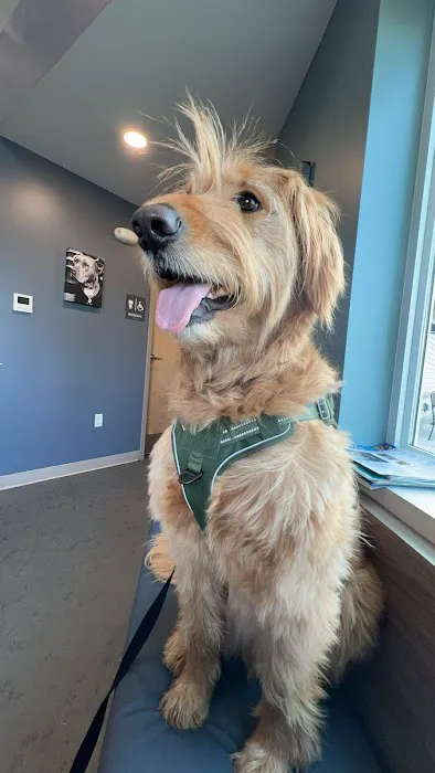 Easthampton Animal Hospital 6