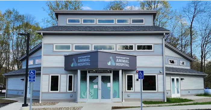 Easthampton Animal Hospital 5