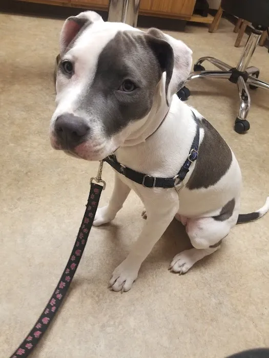 Spruce Hill Veterinary Clinic 1