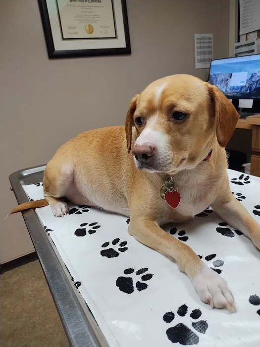 Spruce Hill Veterinary Clinic 2