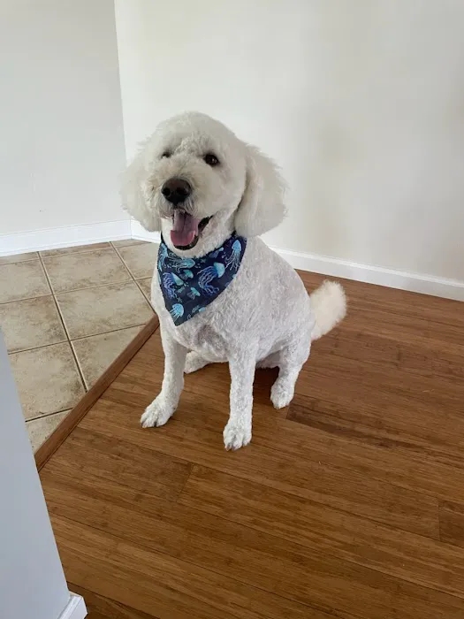 Petco 3