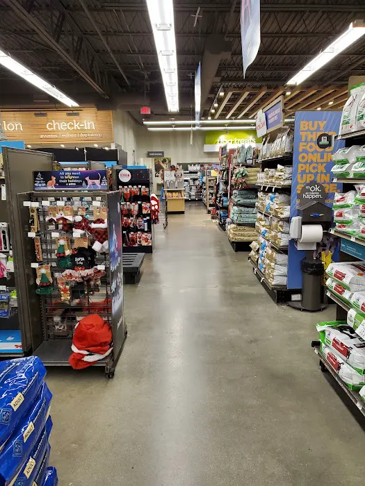 Petco 6