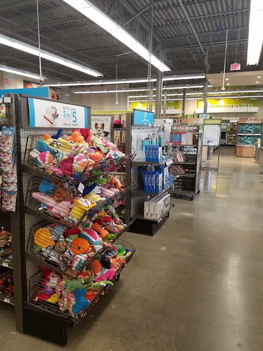 Petco 7