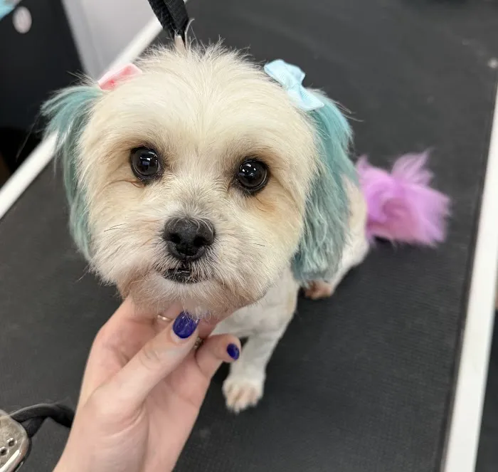 Pet Supplies Plus Virginia Beach 10