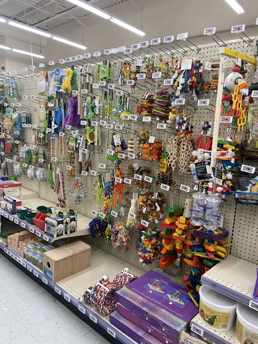 Pet Supplies Plus Virginia Beach 8