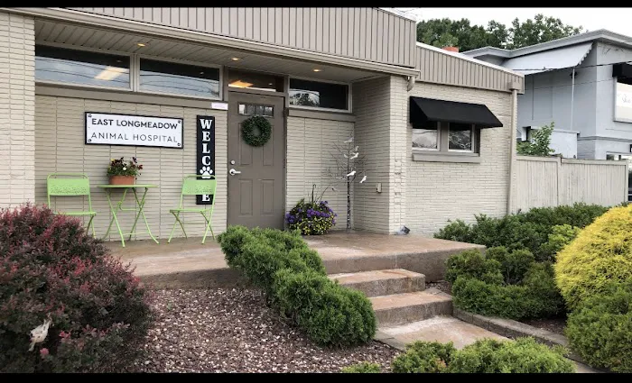 East Longmeadow Animal Hospital 9
