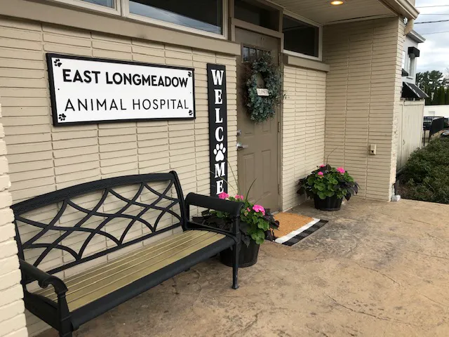 East Longmeadow Animal Hospital 5