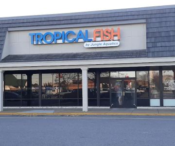 Jungle Aquatics