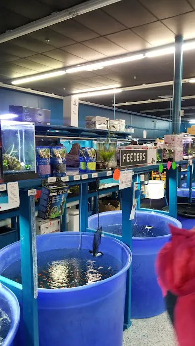 Jungle Aquatics 4