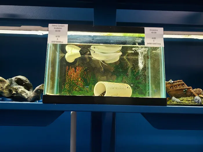 Jungle Aquatics 8